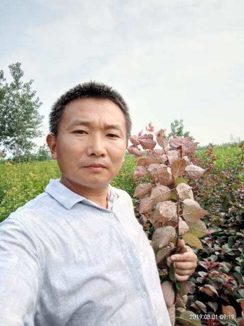 孩子爸的第一张照片--中山相亲服务中心
