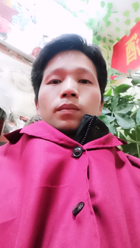 单身的林凡的第二张照片--中山相亲服务中心