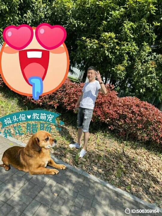 我若不坚强谁替我勇敢的第一张照片--中山相亲服务中心