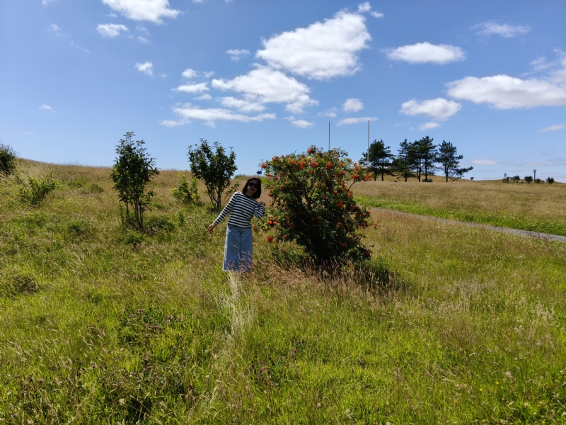 秋蝉的第一张照片--中山相亲服务中心