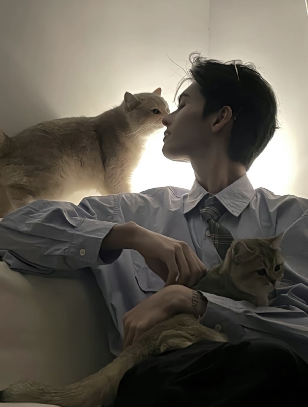 怪猫的第一张照片--中山相亲服务中心