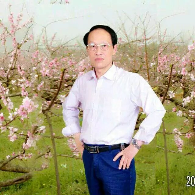 枫叶的第一张照片--中山相亲服务中心