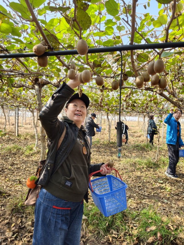 夜莺的第四张照片--中山相亲服务中心